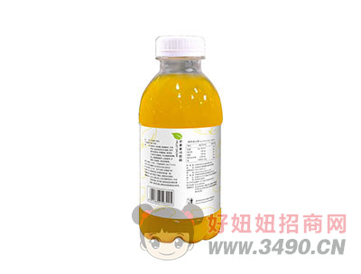 济沃第一帅香橙果汁饮料450ml（反面）