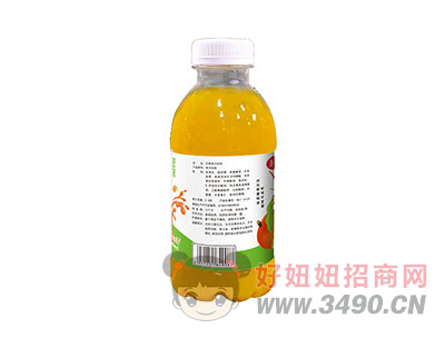 济沃第一帅芒果果汁饮料450ml（反面）