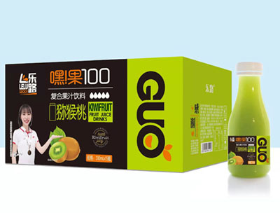 嘿！果100 猕猴桃310ml×15瓶