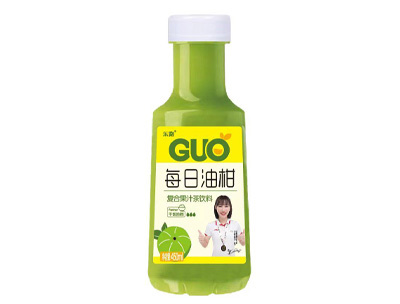 乐路每日油柑果汁茶饮料450ml