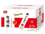 鲜绽气泡水卡曼橘味苏打气泡水480ML（箱装）