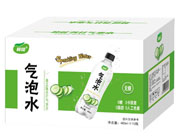 鲜绽气泡水青瓜味苏打气泡水480ML（箱装）