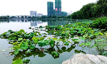 上派镇古埂公园