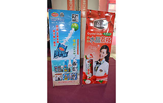 广州战豹食品在2015长沙糖酒会的易拉宝广告