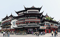 上海酵素展旅游介绍