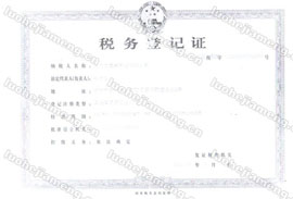 广州战豹食品税务登记证